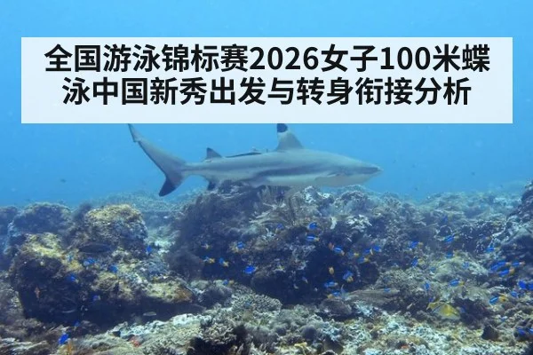 全国游泳锦标赛2026女子100米蝶泳中国新秀出发与转身衔接分析